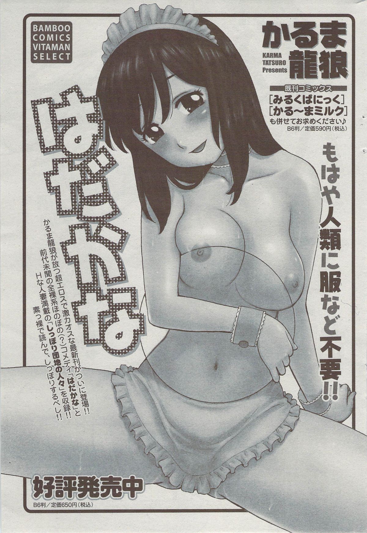 月刊 ビタマン 2009年9月号