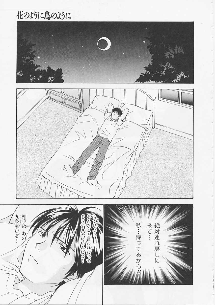 [二階堂みつき] 花のように鳥のように