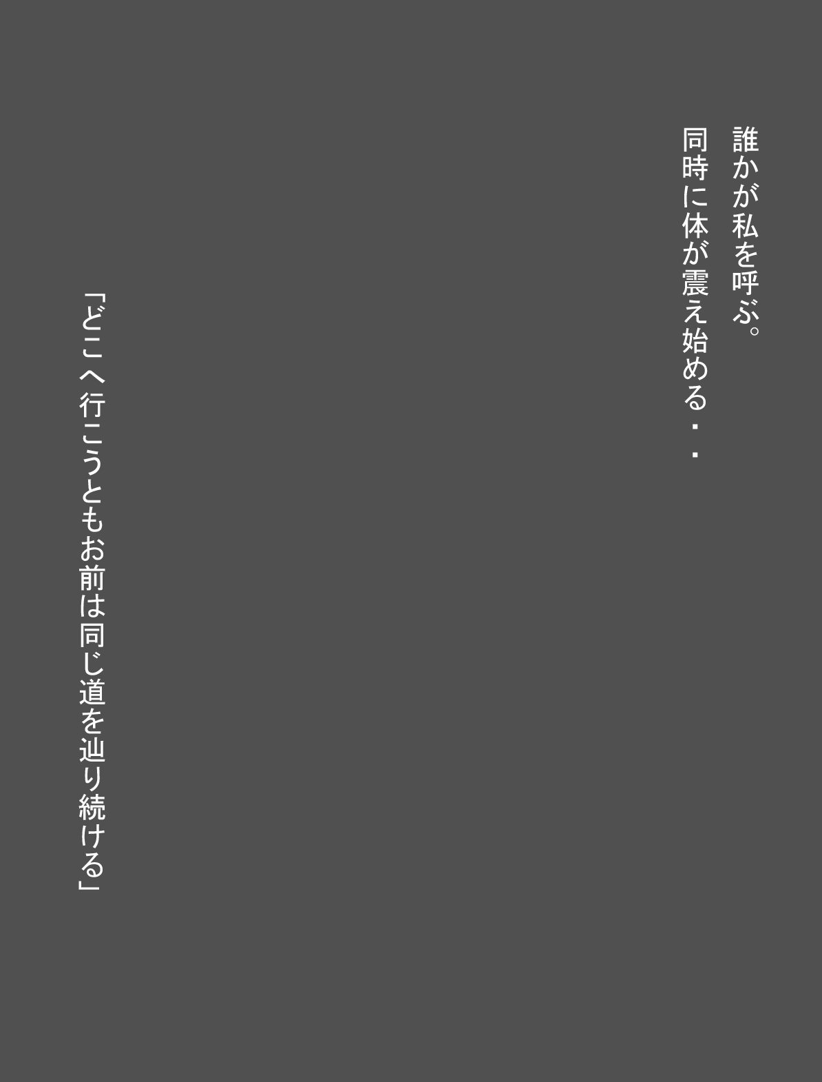 【ミラクルポンチまつり】DRAGONROAD13（ドラゴンボール）
