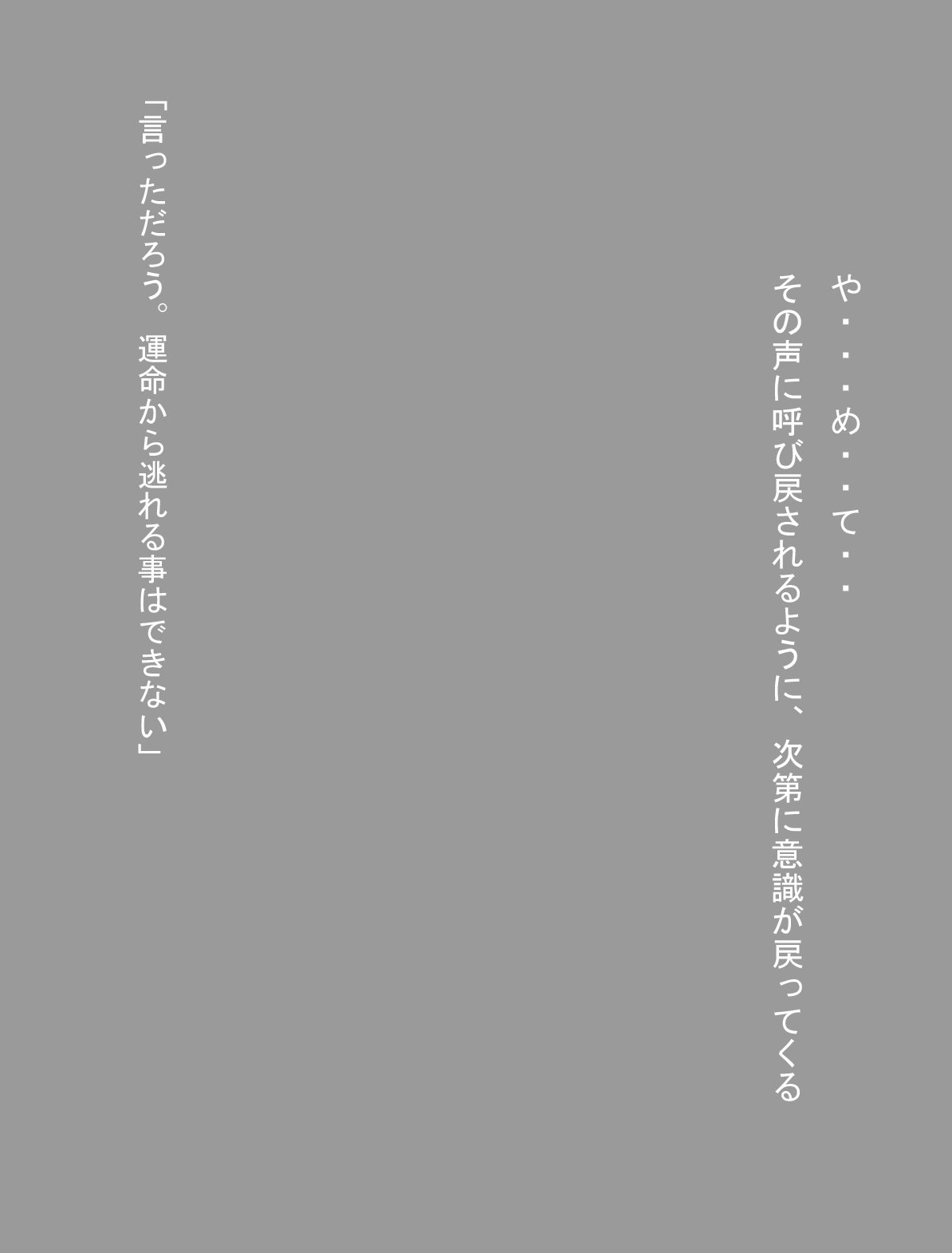 【ミラクルポンチまつり】DRAGONROAD13（ドラゴンボール）