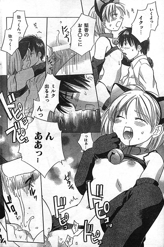 COMIC キャンドール 2006年11月号 Vol.34