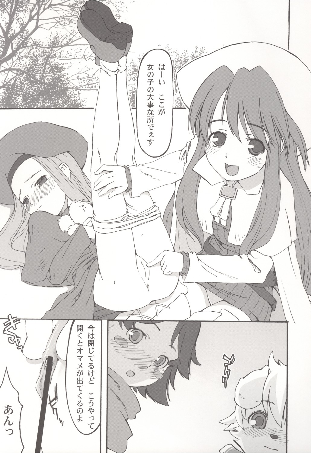 (C67) [皐月堂、みやんち (雅樹里、宮越良月)] edelweiss (サモンナイト3)