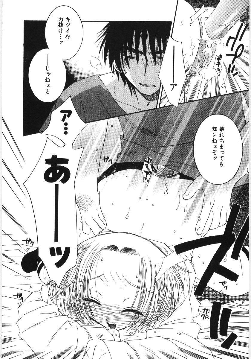 【アンソロジー】プーニートイ