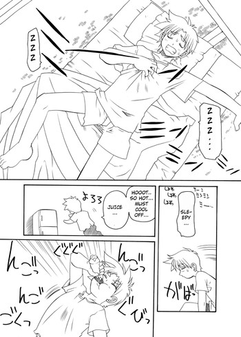 PETボトルフェアリーマリモ-英語-