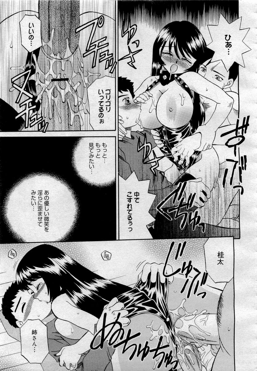 COMICメガプラス 2006年4月号 vol.30