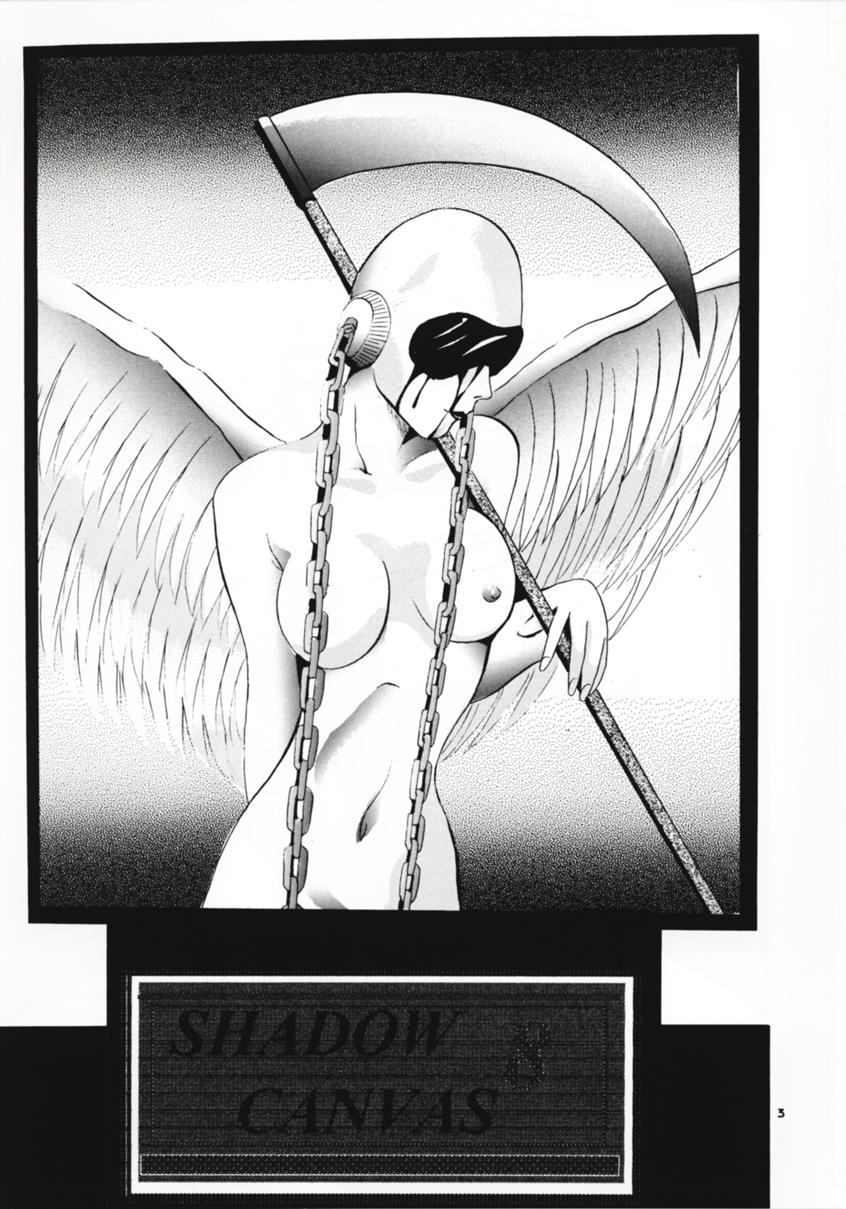 (C54) [スタジオBIG-X (ありのひろし)] SHADOW CANVAS 8 (魔法のステージファンシーララ, 星方武侠アウトロースター)