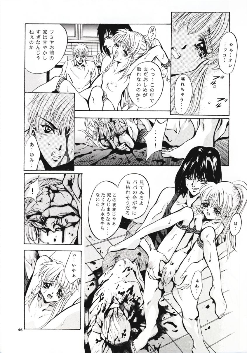 (C54) [スタジオBIG-X (ありのひろし)] SHADOW CANVAS 8 (魔法のステージファンシーララ, 星方武侠アウトロースター)