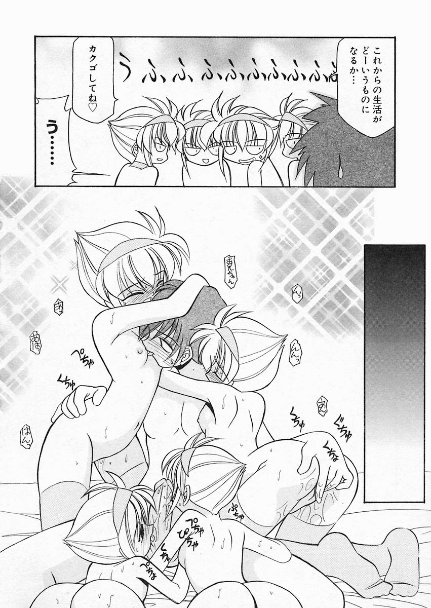 [桜りゅうけん] さくら日和