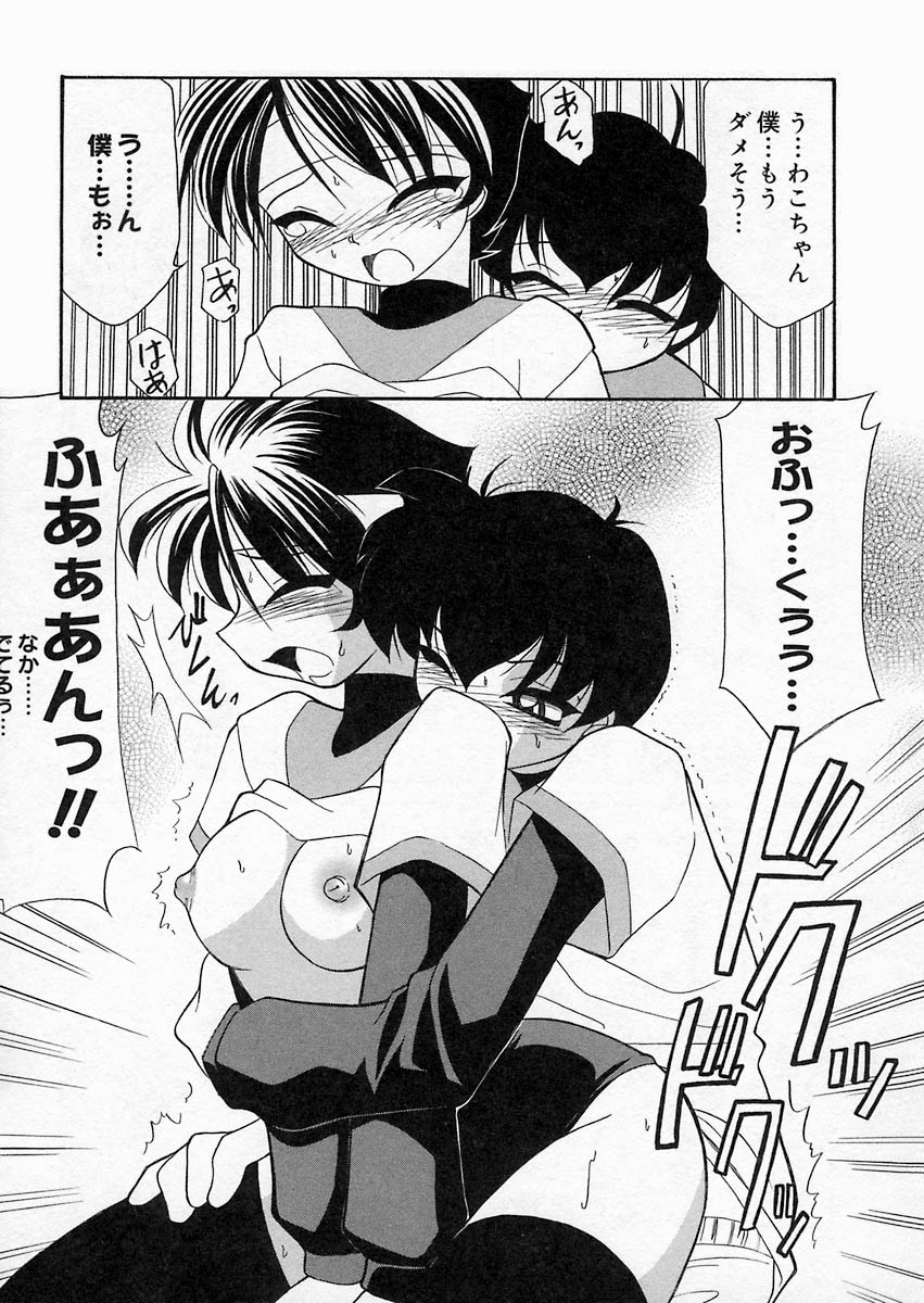 [桜りゅうけん] さくら日和