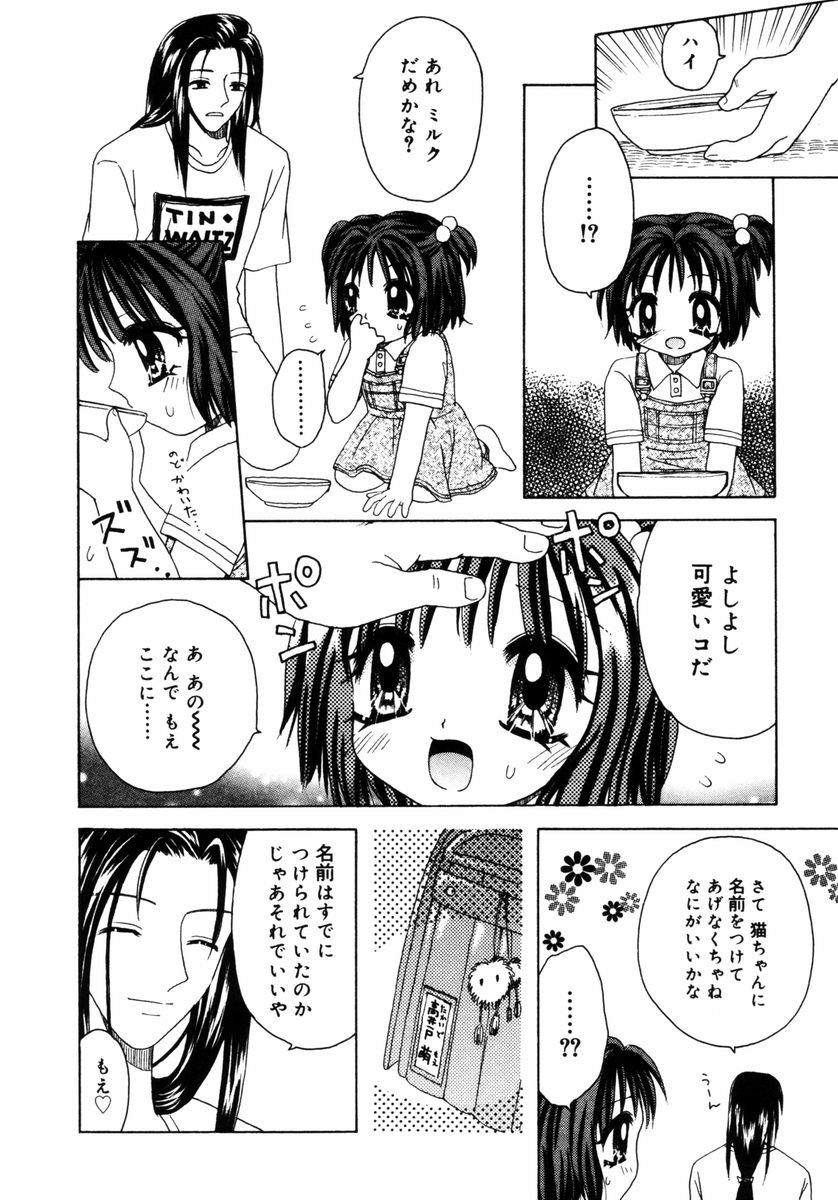 [あざみ野圭二] ハチミツ入りのひみつ