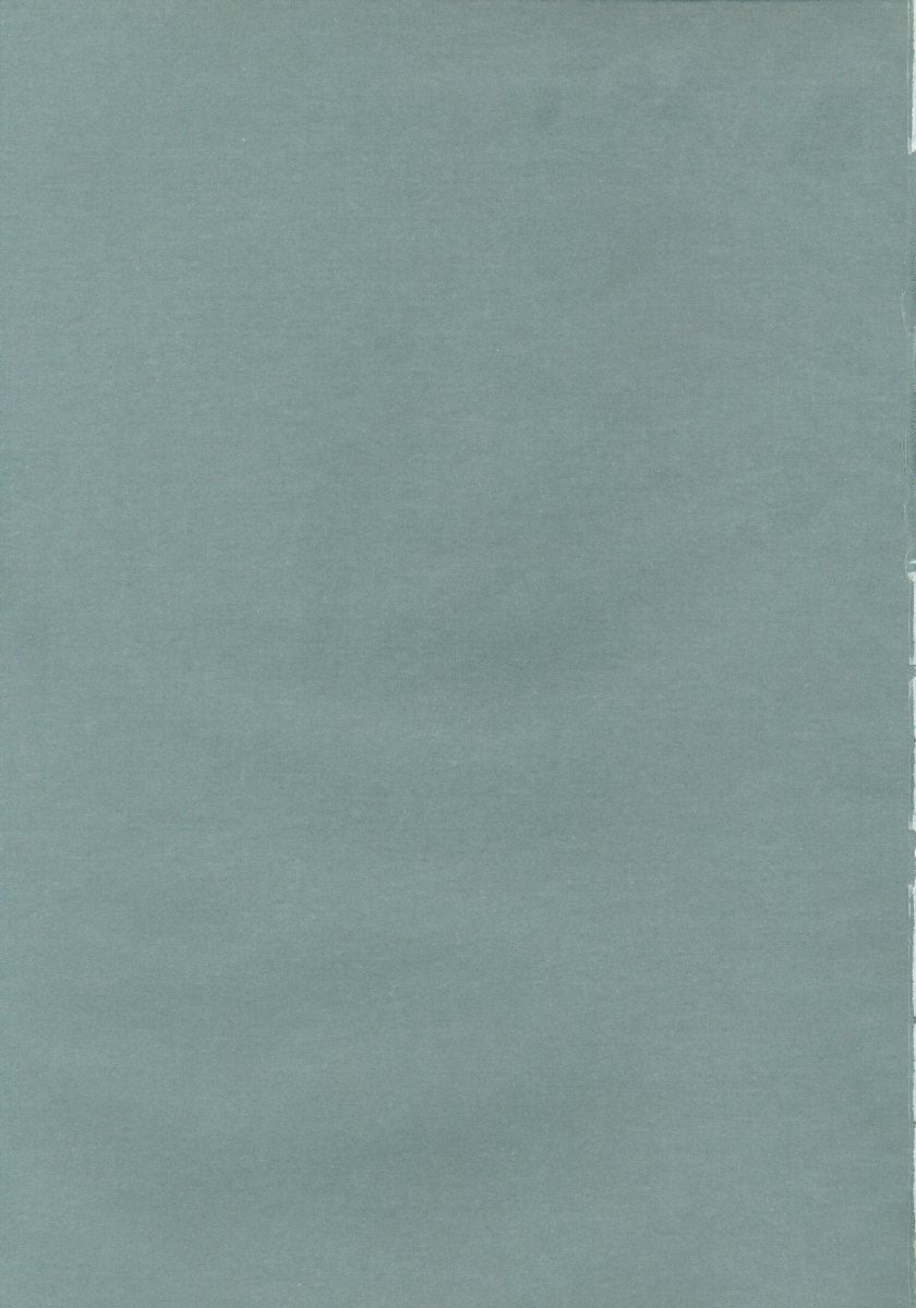 (C48) [INKPOT (大槍葦人)] KINPEIBAI 2 (ヴァンパイアセイヴァー)