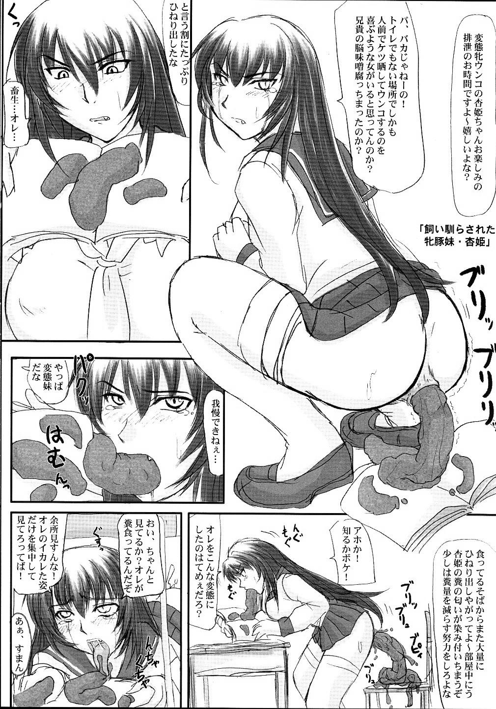 (C68) [のざらし (野晒惺)] 闘隷!杏姫様!!