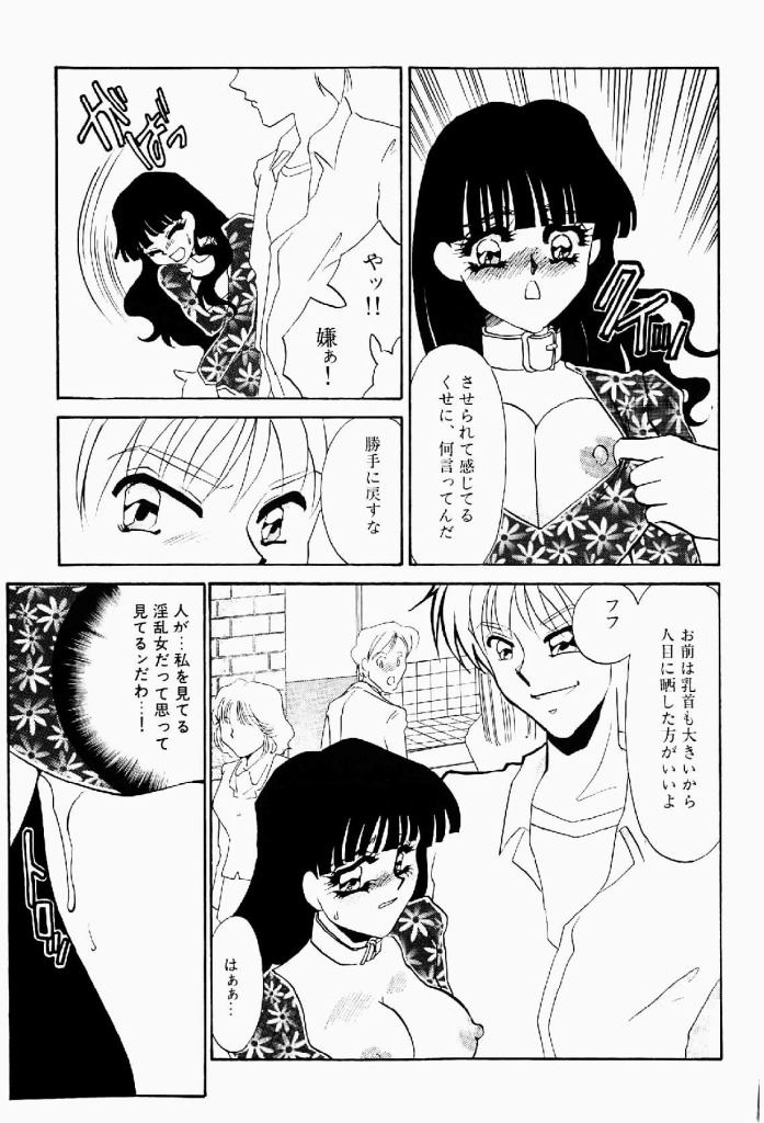 [海野やよい] 異端の快楽 第2巻