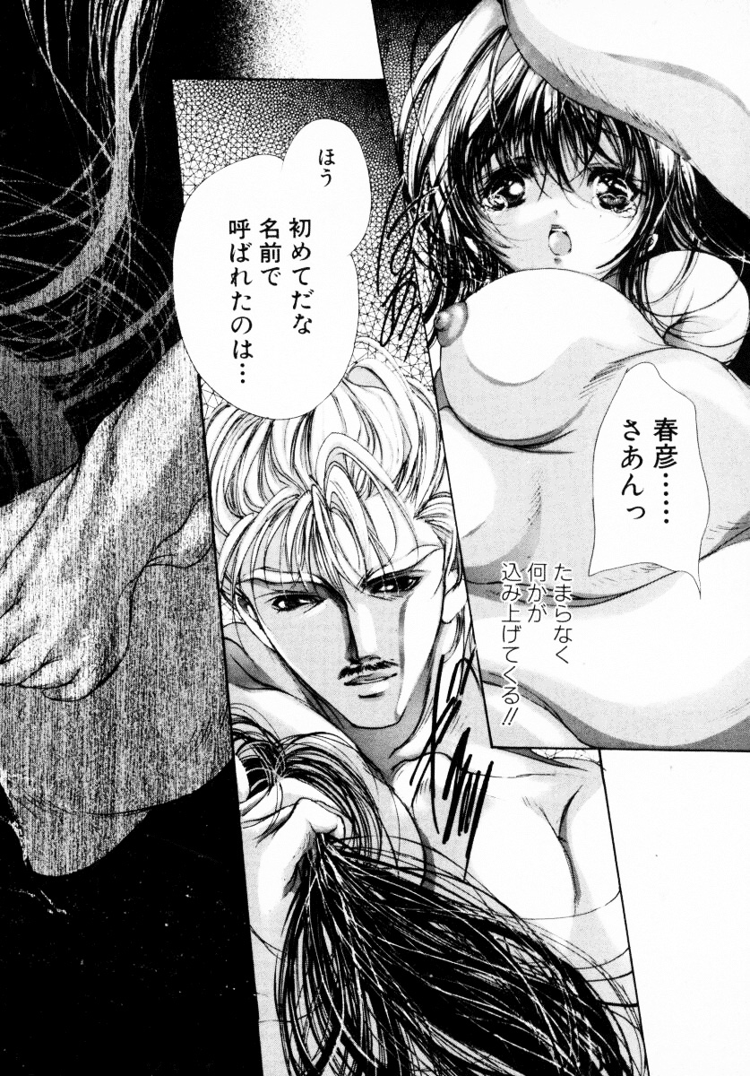 [荒木京也] 背徳のシナリオ