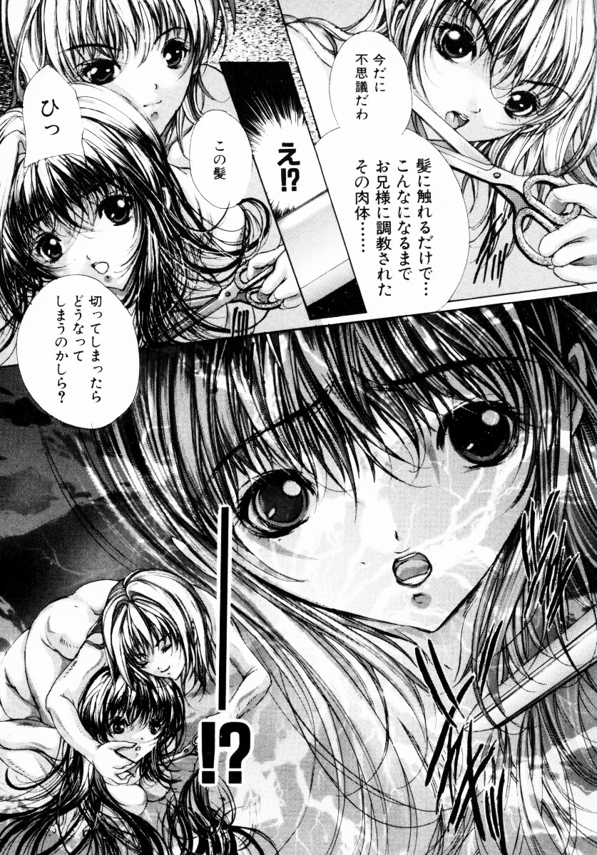 [荒木京也] 背徳のシナリオ