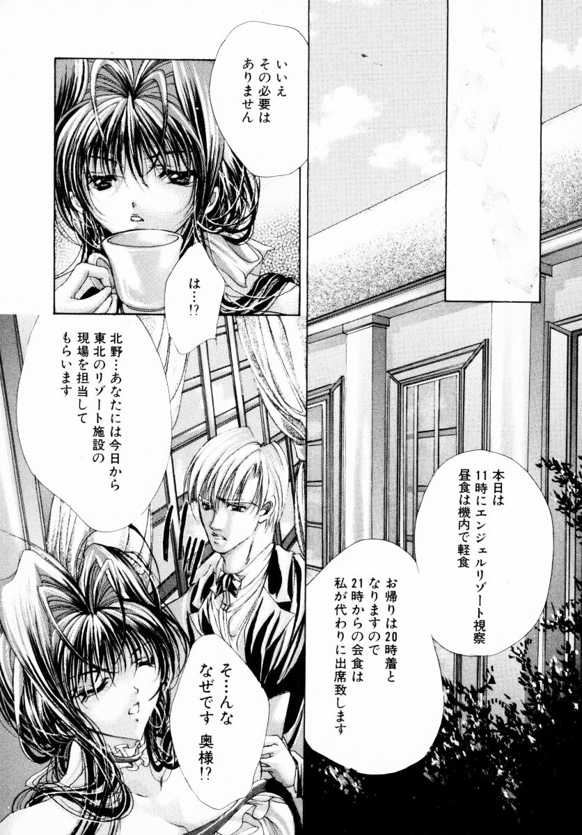 [荒木京也] 背徳のシナリオ