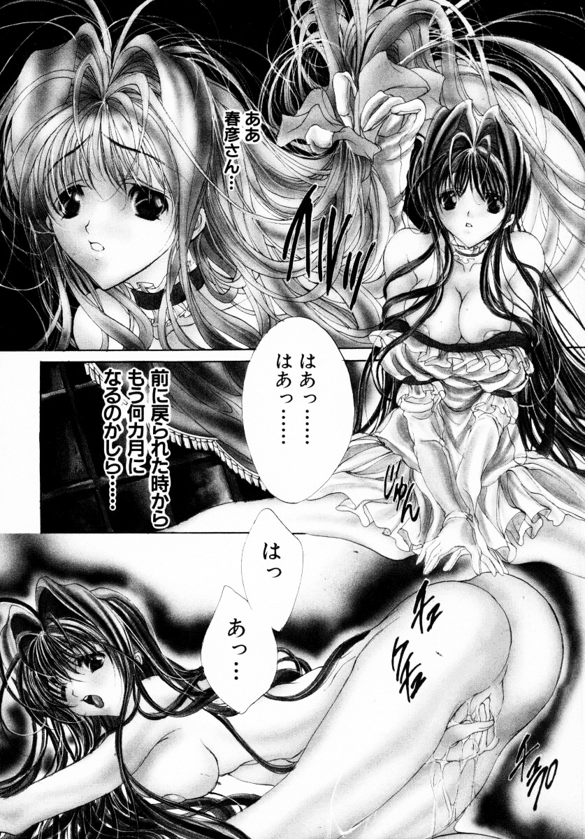 [荒木京也] 背徳のシナリオ