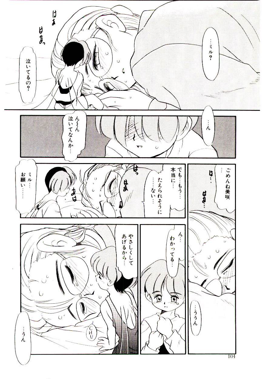 [猫玄] 図書館の妖精