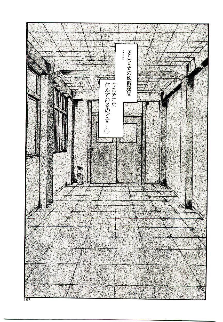 [猫玄] 図書館の妖精