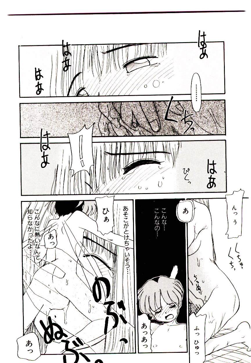 [猫玄] 図書館の妖精