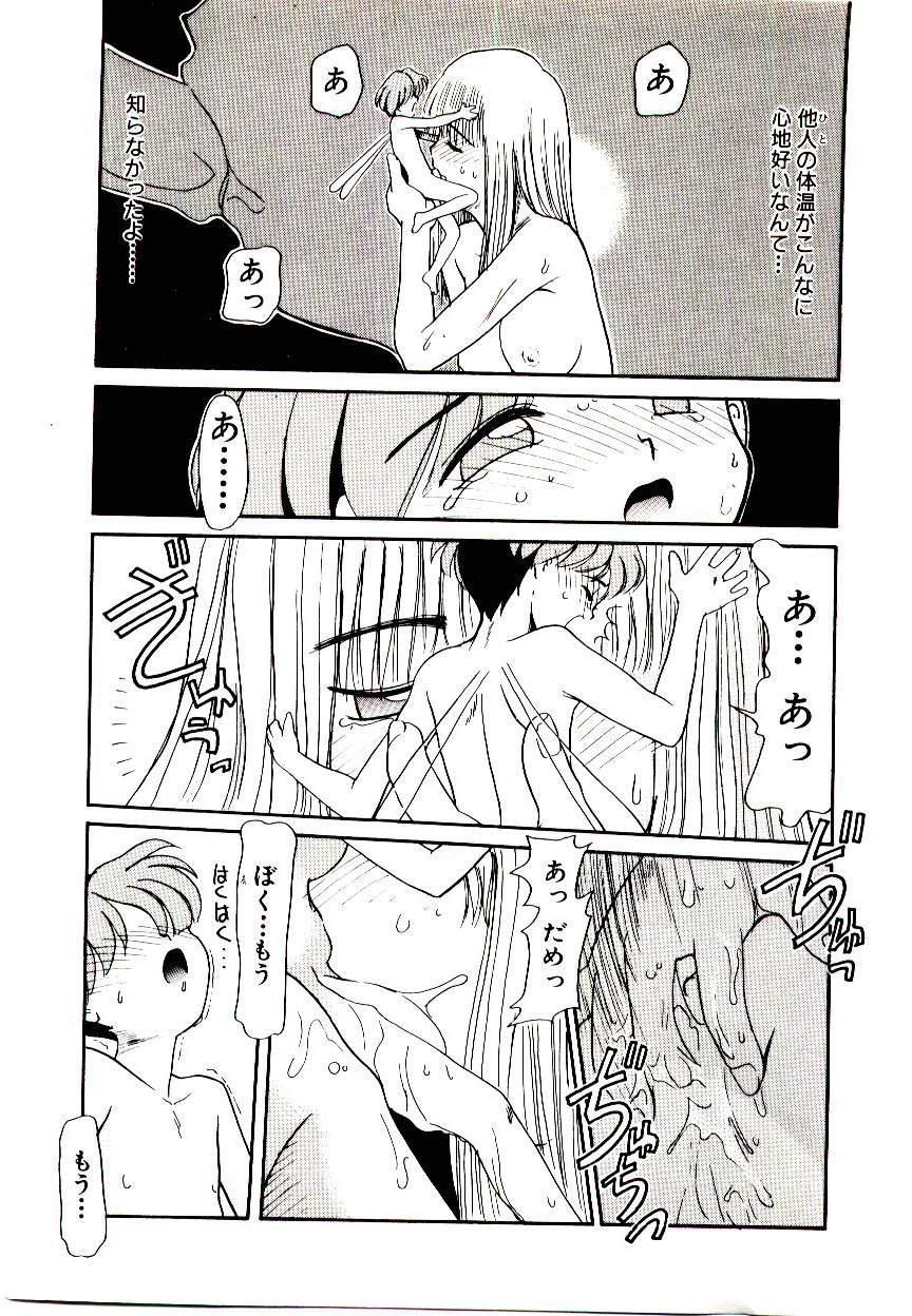 [猫玄] 図書館の妖精