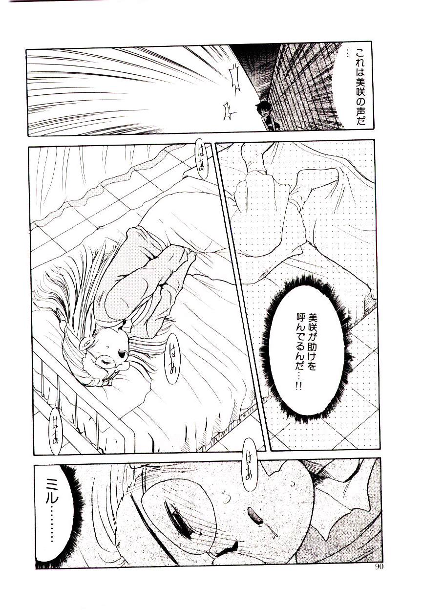 [猫玄] 図書館の妖精