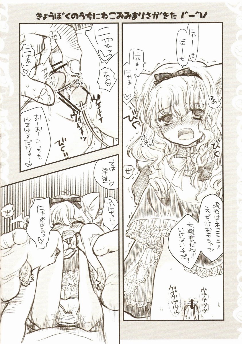 (例大祭5) [少女頭巾 (鳩麦月々)] 合法ネココロリ＋ワン (東方Project)