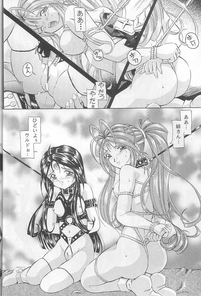 【滝立】パラ11より（あぁ！メガミ様）