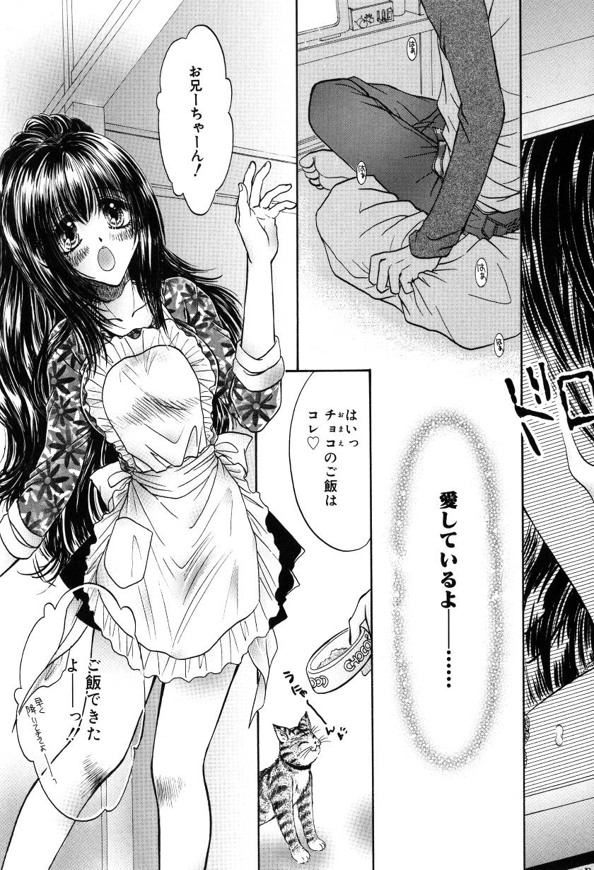 [ものぐさうるふ] 月虹