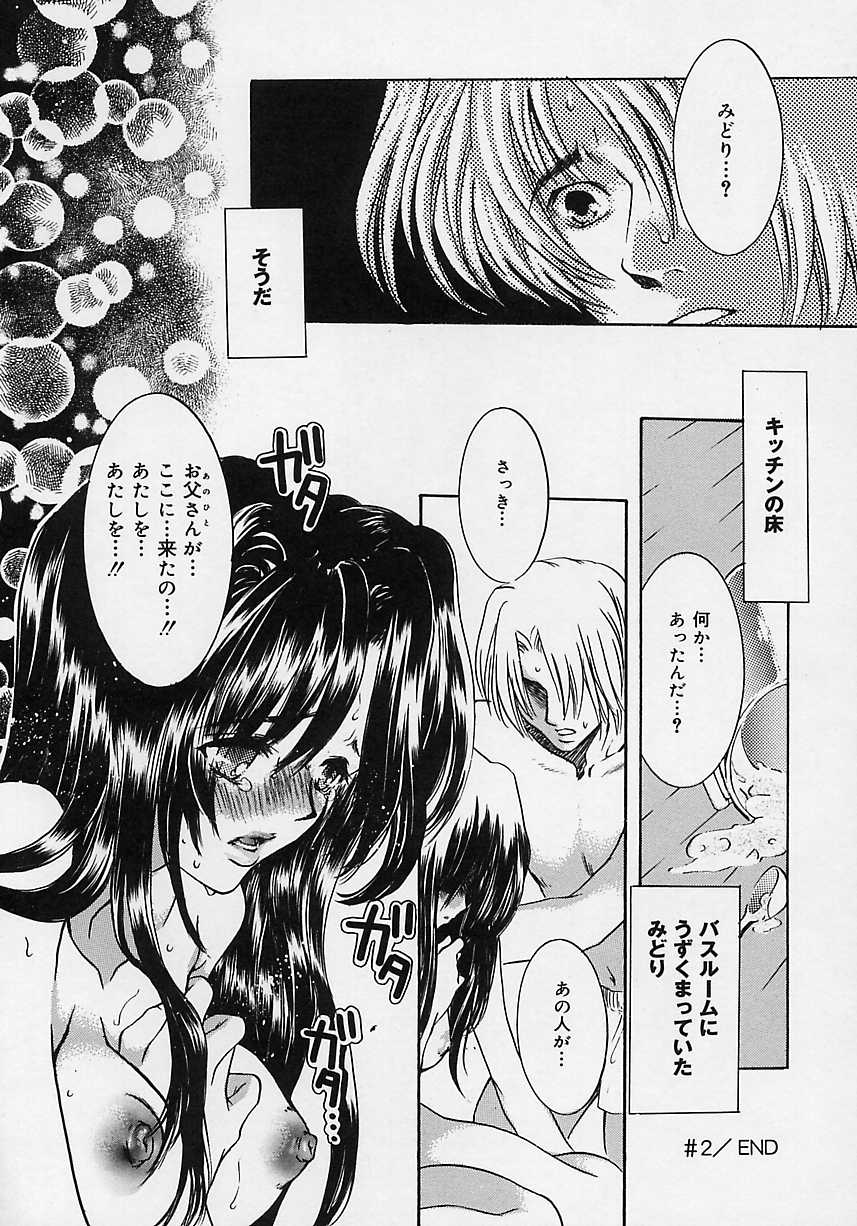 [嶋尾和] 愛玩隷嬢