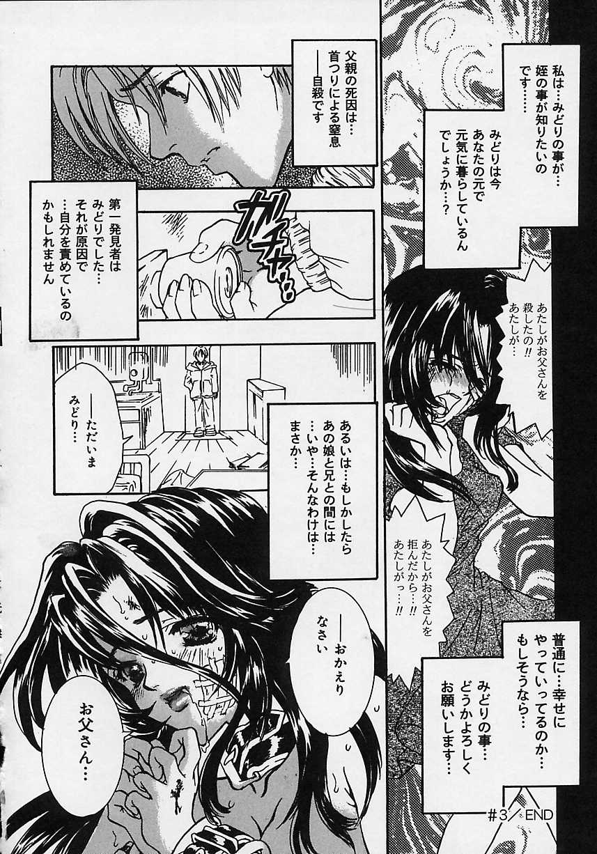 [嶋尾和] 愛玩隷嬢