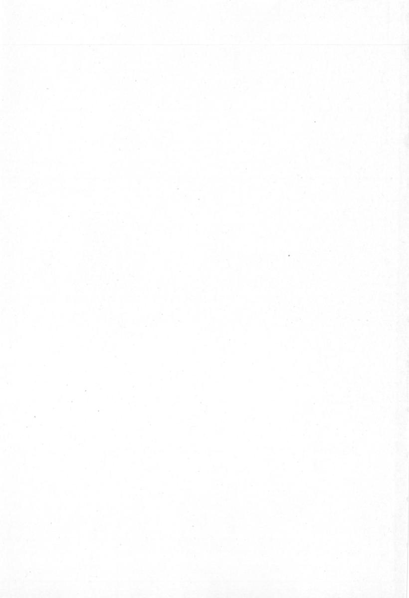 [宮崎摩耶] サイレントハンター