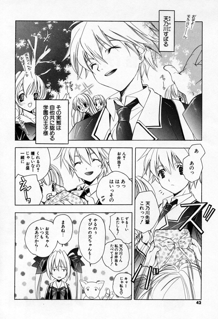 [宮下未紀] キスきゅー