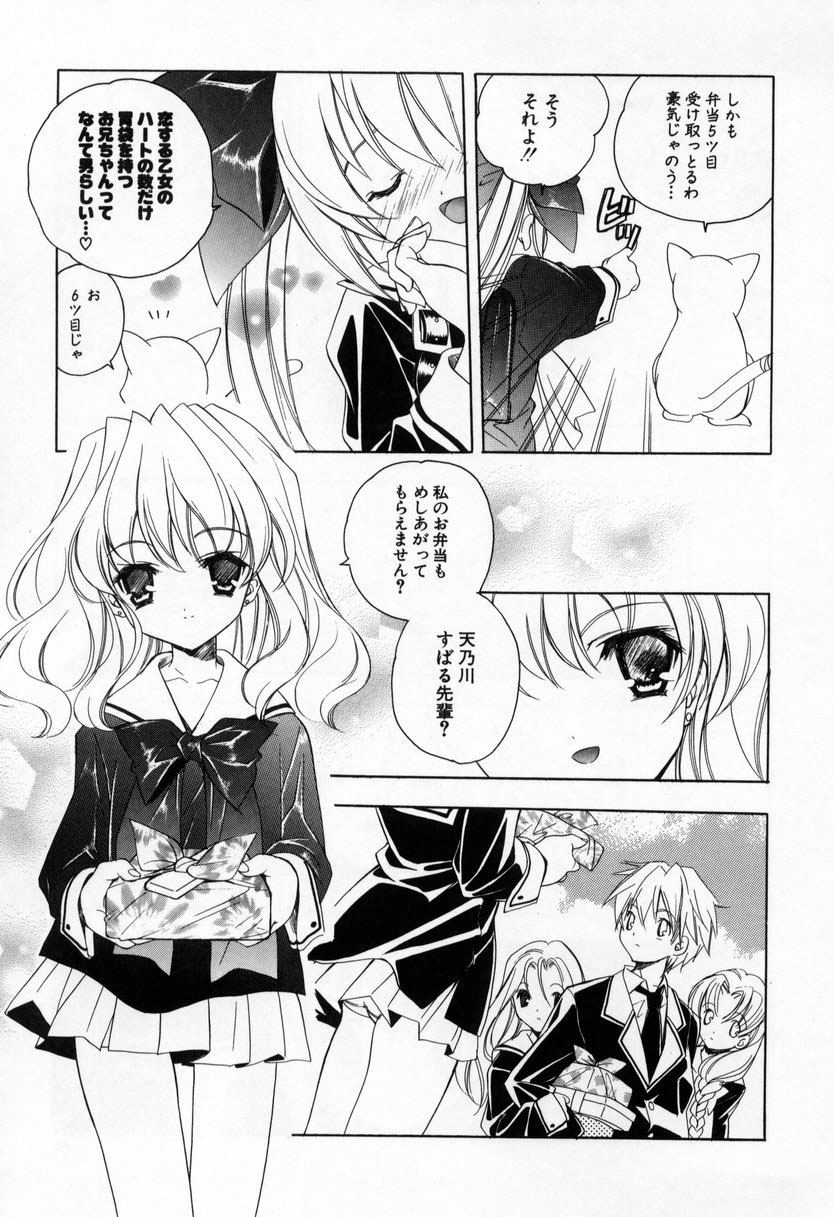 [宮下未紀] キスきゅー