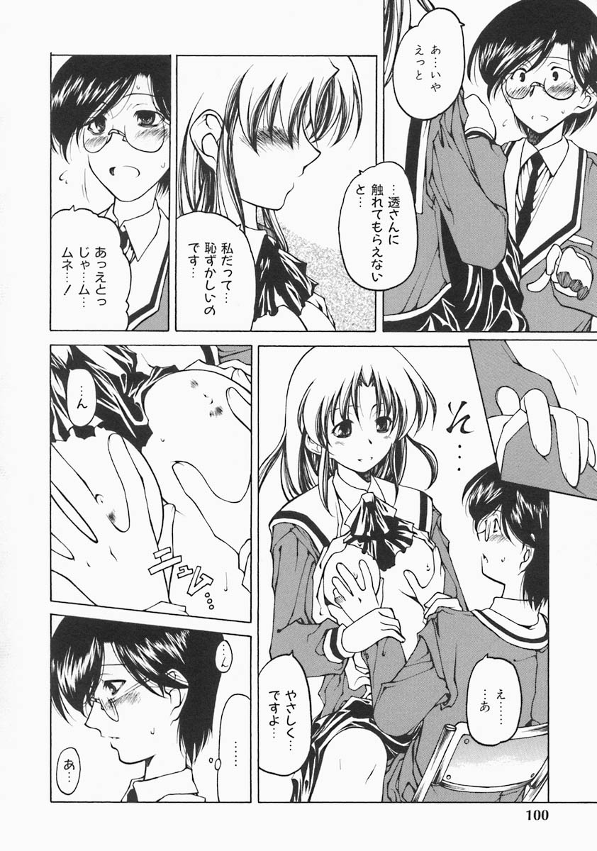 [ベンジャミン] すとれい・しーぷ