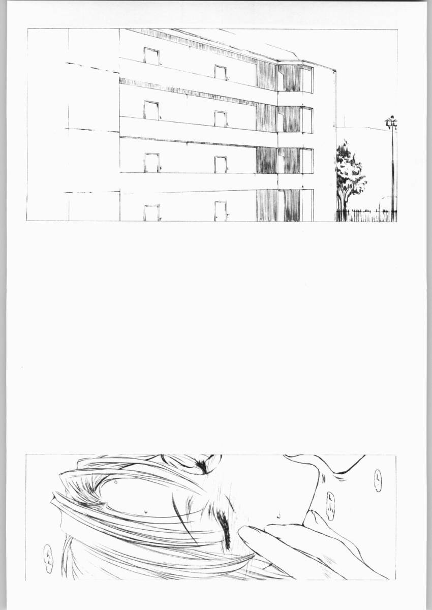 [聖アルマデル教会 (影003虎)] 空Kara (空の境界)