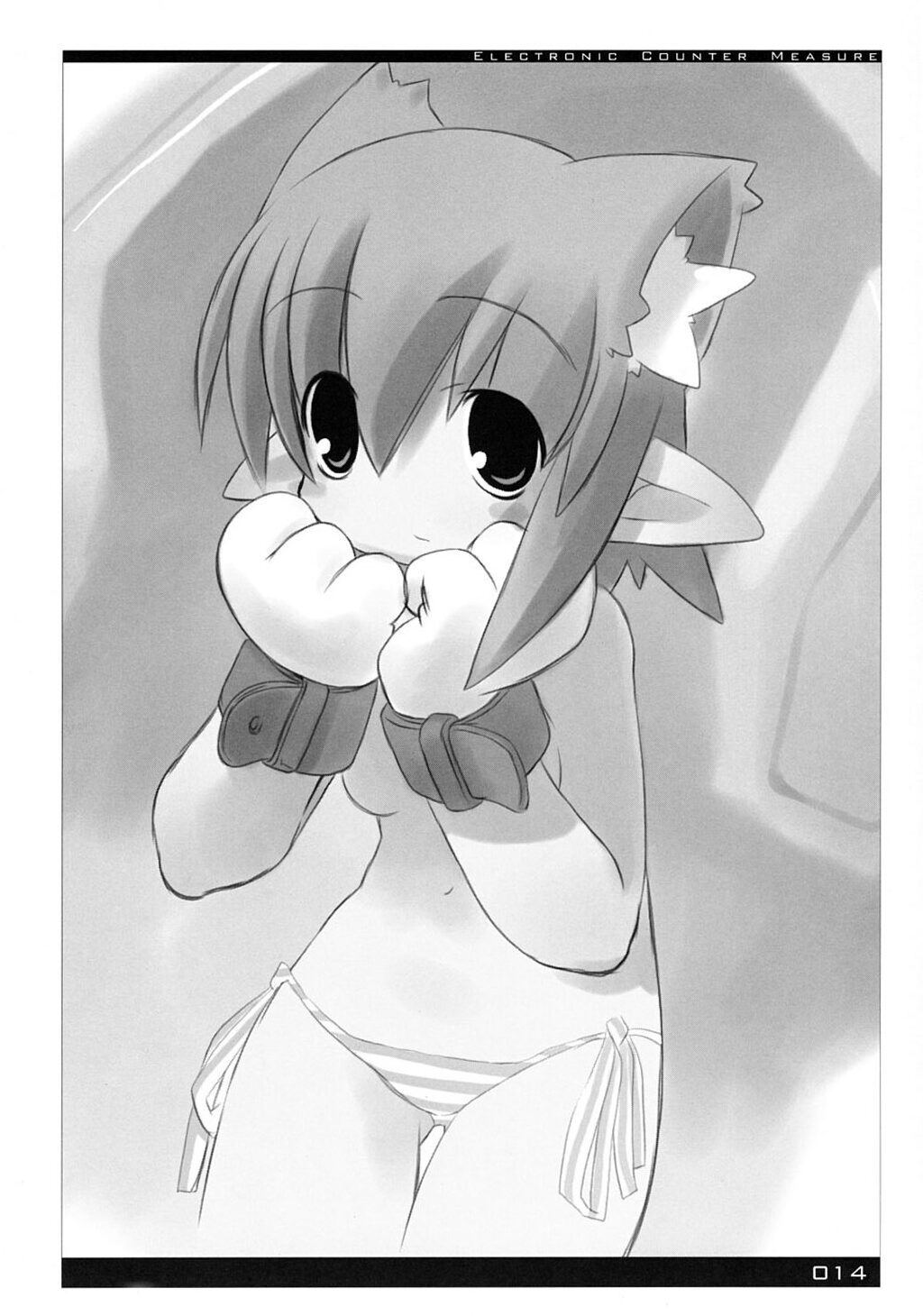 [sys3.6.3. (ザンクロー)] ECM