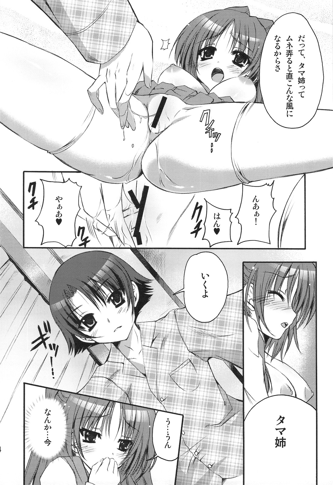 (C74) [SUGAR(S)POT (しゅがーピコラ, 月嶋悠虎)] PICOMANI:04 (トゥハート2)