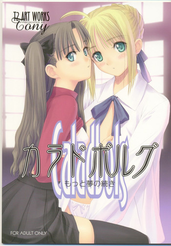 (C66) [T2 ART WORKS (Tony)] カラドボルグもっと夢の続き (Fate/stay night)