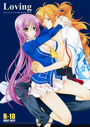 (C74) [突撃ウルフ (結城みつる)] Loving (遙かなる時空の中で)