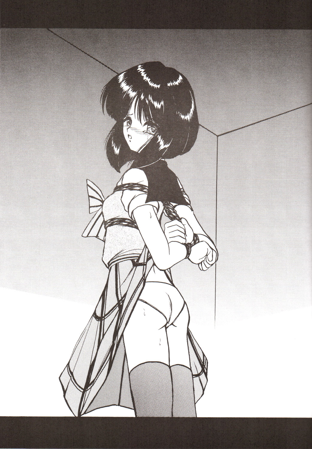 (C70) [サーティセイバーストリート・2D-シューティング (牧秀人, 佐原一光)] サイレント・サターン SS vol.9 (美少女戦士セーラームーン)