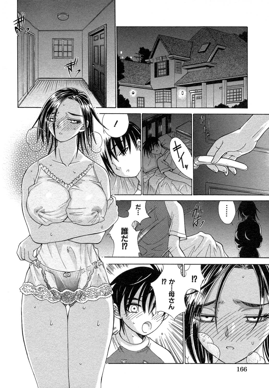 [アンソロジー] 禁断姦淫 Vol.12 母子相姦