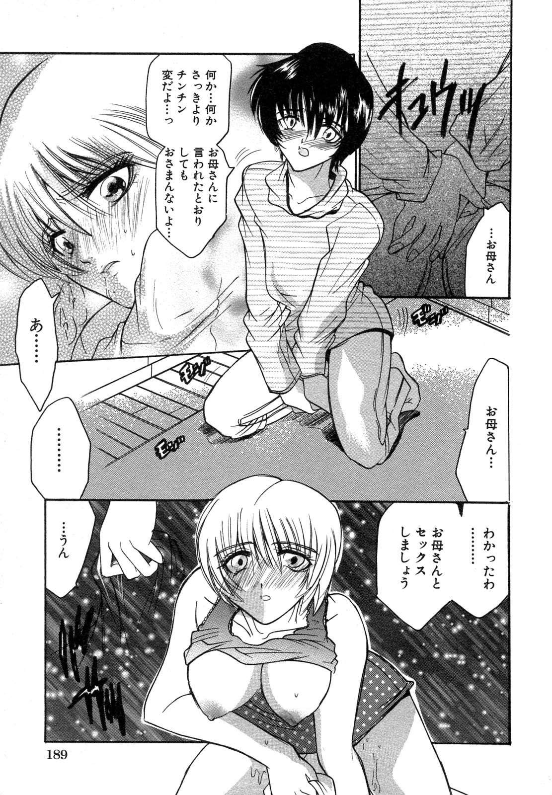 [アンソロジー] 禁断姦淫 Vol.12 母子相姦