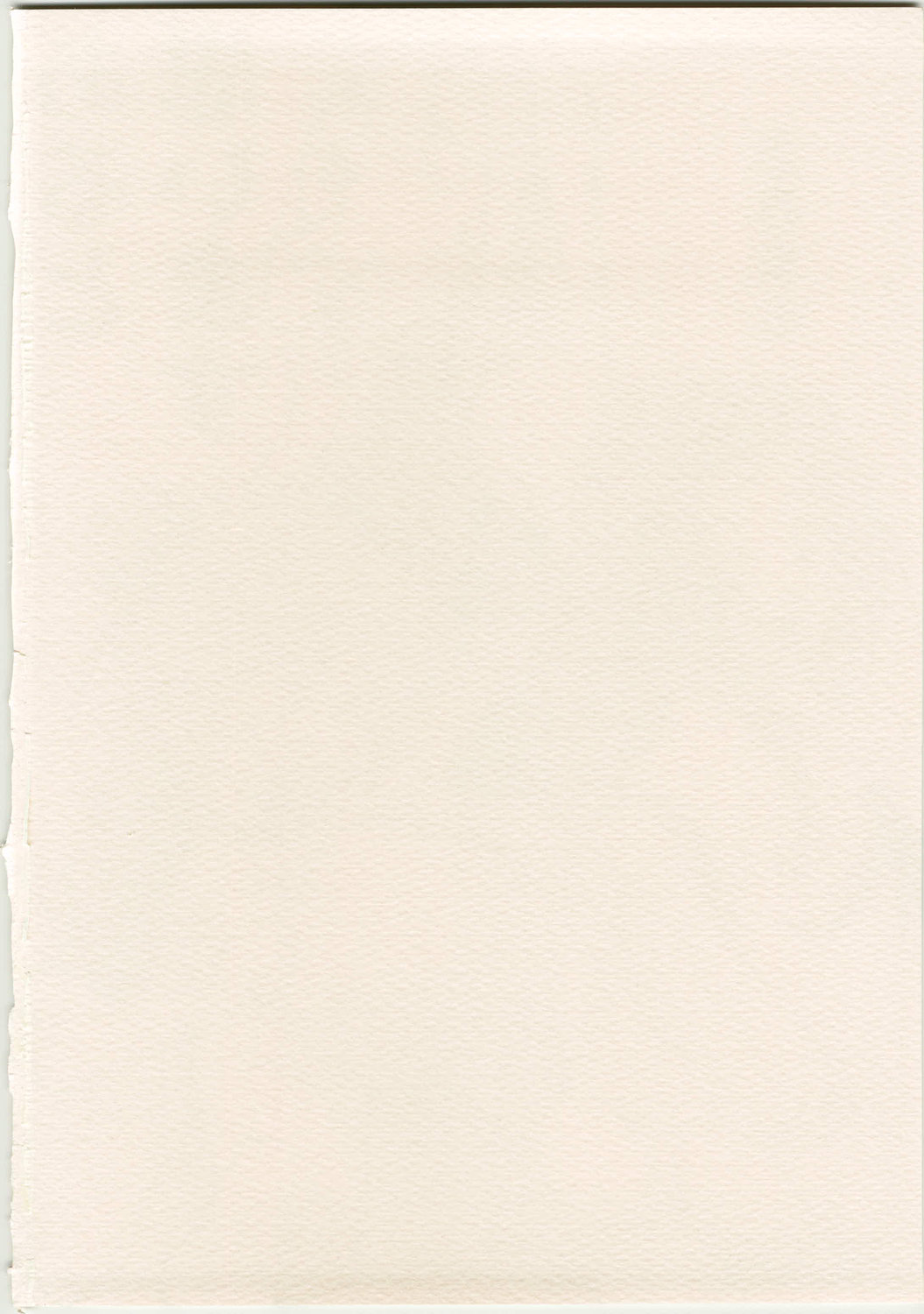 (C74) [スタジオKIMIGABUCHI (きみまる)] あると思います (コードギアス 反逆のルルーシュ , ノワール , R.O.D READ OR DIE)