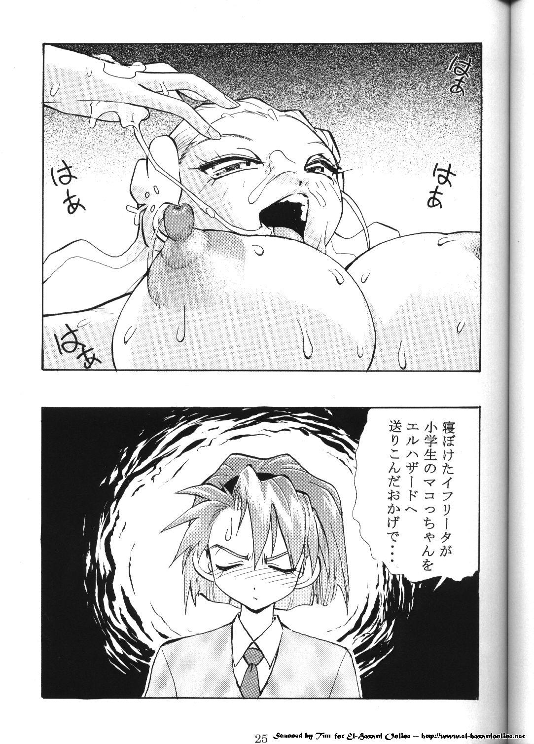 (C59) [こあ (ダークネス湯河原)] コミック電撃犬王 (神秘の世界エルハザード) [ページ欠落]