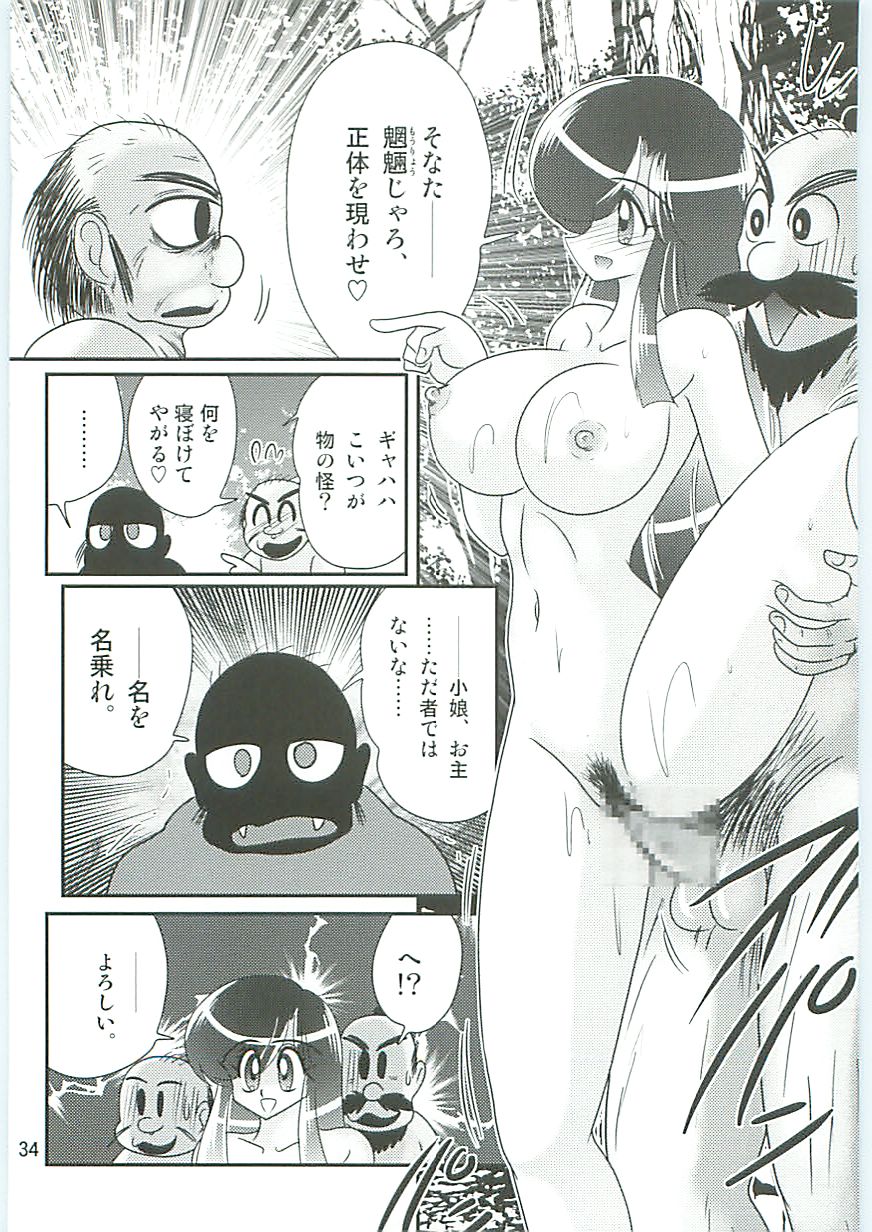 [上藤政樹] 精霊特捜フェアリィセイバーW 麗しき鬼姫