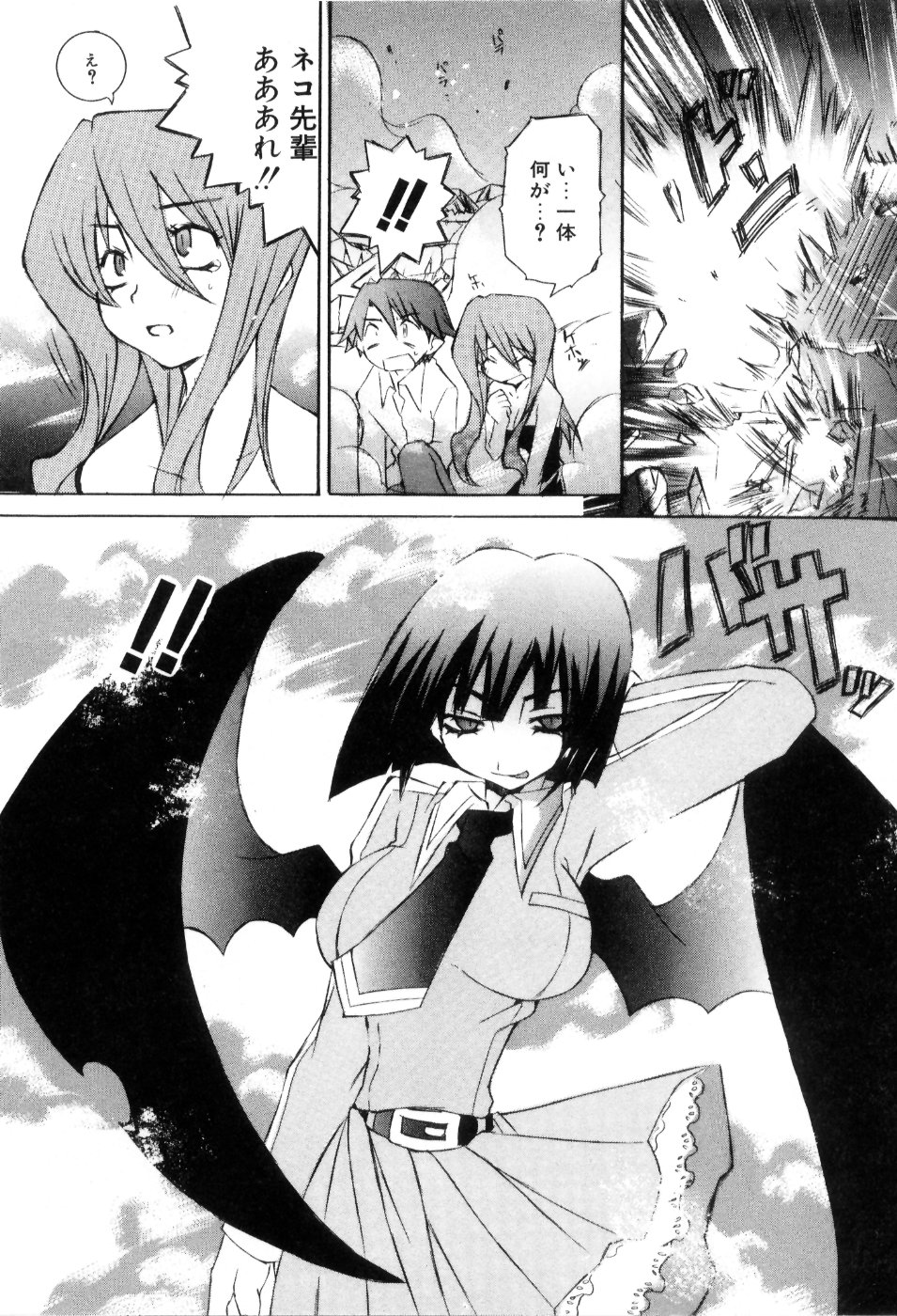 [睦月のぞみ] らでぃかる同好会