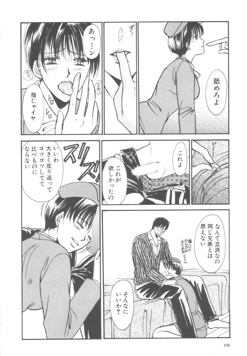 [川本貴裕] キンダーガーデン