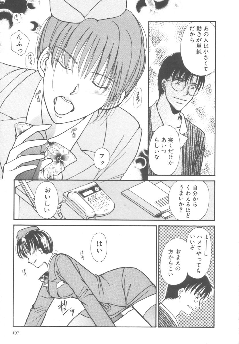 [川本貴裕] キンダーガーデン