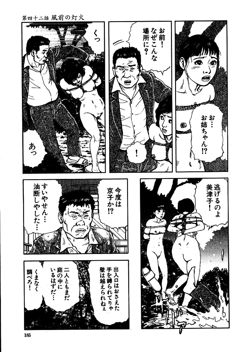 [長田要, 団鬼六] 花と蛇 第三集